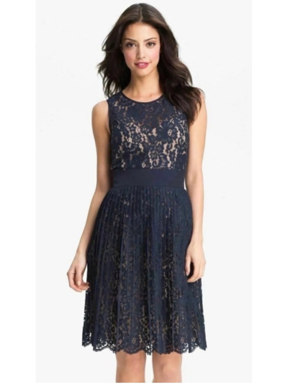 Women's Eliza J Navy Lace Midi Dress Size 14 NWT